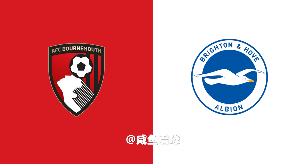 伯恩茅斯主场凭借进球数优势击败布莱顿的简单介绍