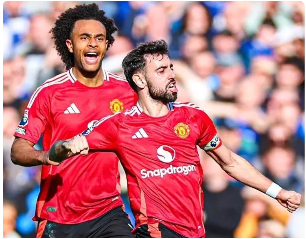 埃弗顿逆转战胜对手，实现振兴的简单介绍