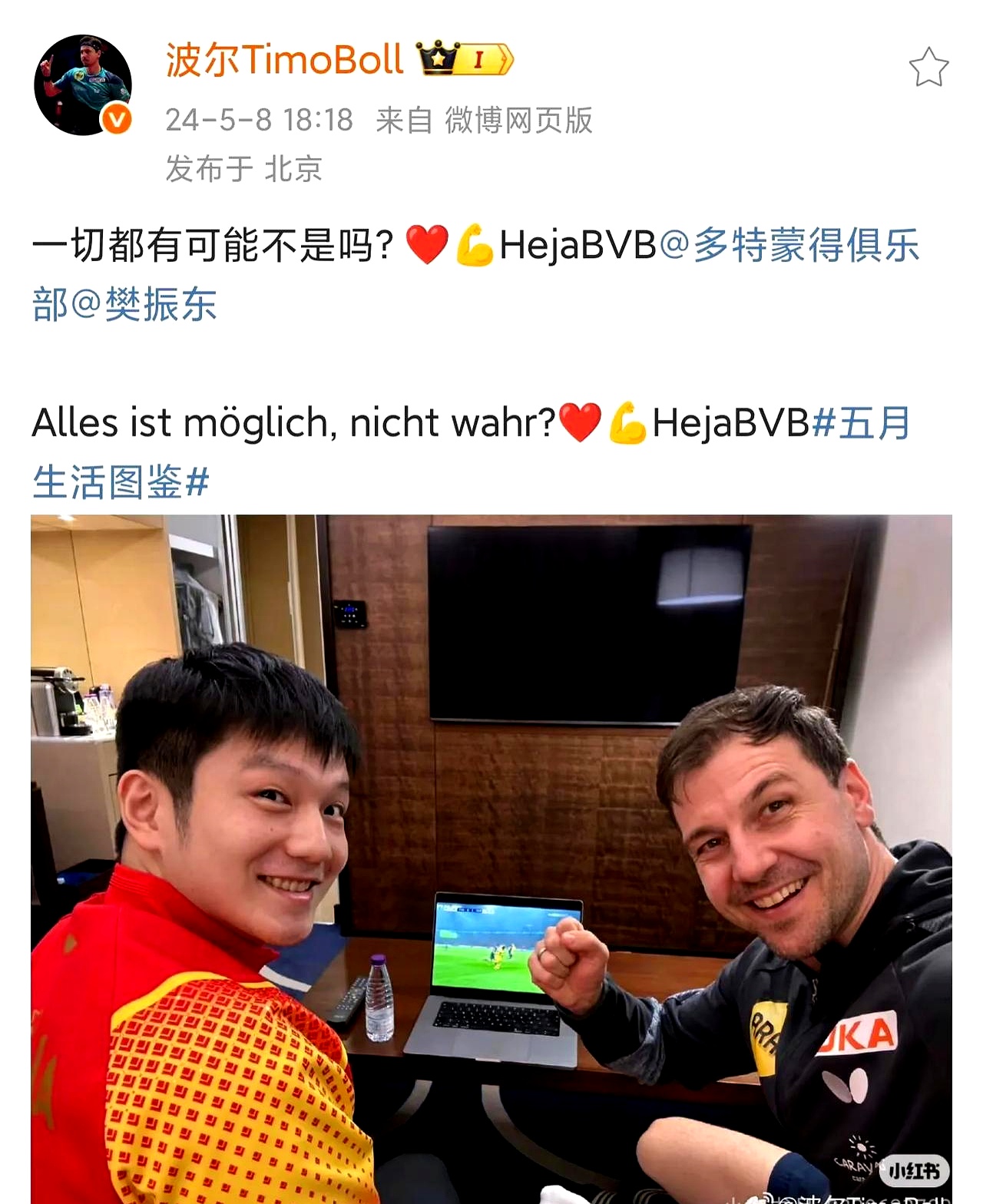 米兰体育官网-比利时乒乓球队鏖战韩国乒乓球队，波尔完成帽子戏法的简单介绍